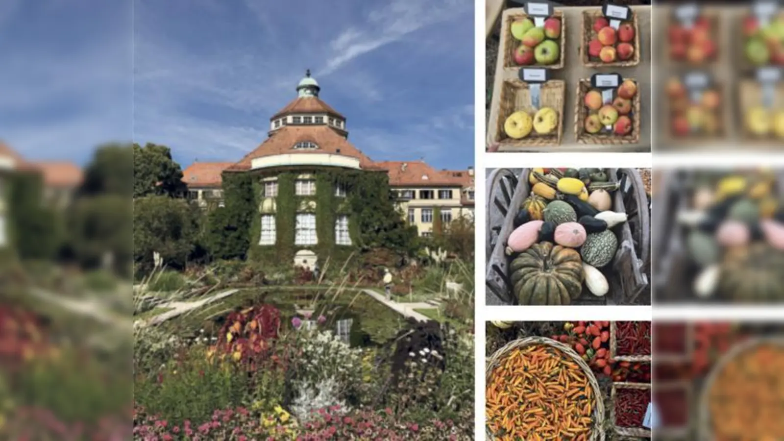 Am Sonntag, 7. Oktober, ist Erntedankfest. Bis dahin läuft eine Sortenausstellung in der Winterhalle mit über 150 Äpfel-, 30 Birnen-, 30 Quitten- und 50 Kartoffelsorten sowie anderen Früchten und Samen. 	 (Foto: Federico Becchetti)