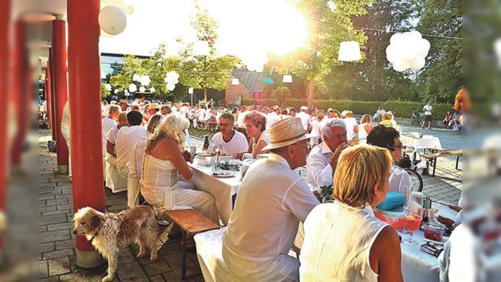 Diner en  (Foto: Ganz in weißes Flair getaucht. 	Foto VA)