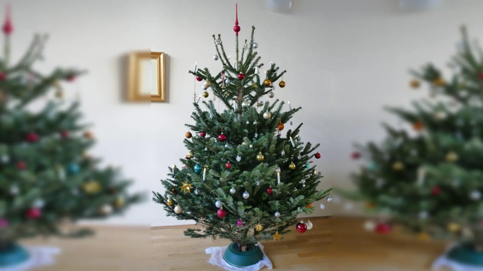 Die Entsorgung alter Christbäume steht am Beginn jedes neuen  Jahres an. Die Gautinger Feuerwehr hilft dabei mit einer eigens organisierten Abholaktion. (Foto: ds)