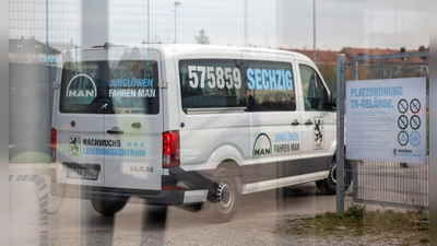 In alle Himmelsrichtungen: Junglöwen-Fahrdienst. (Foto: Anne Wild)