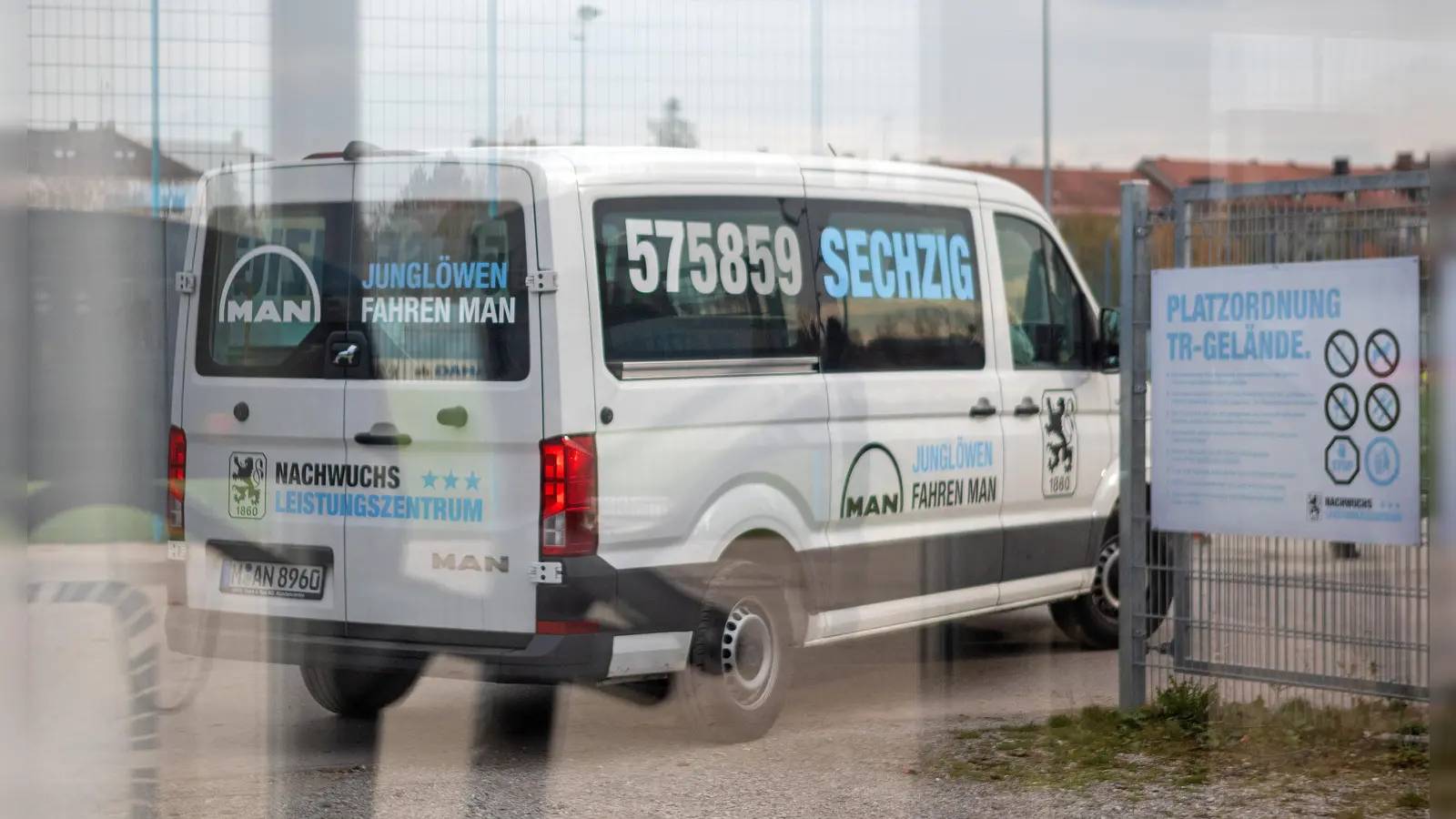 In alle Himmelsrichtungen: Junglöwen-Fahrdienst. (Foto: Anne Wild)