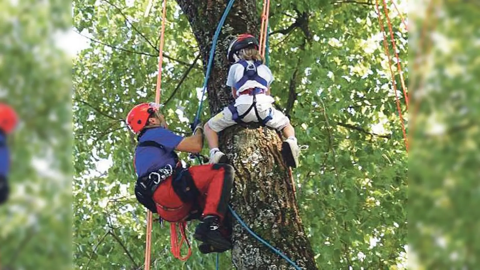 Viel zu entdecken gibt es für Groß und Klein am 30. September im Walderlebniszentrum Grünwald.	 (Foto: VA)