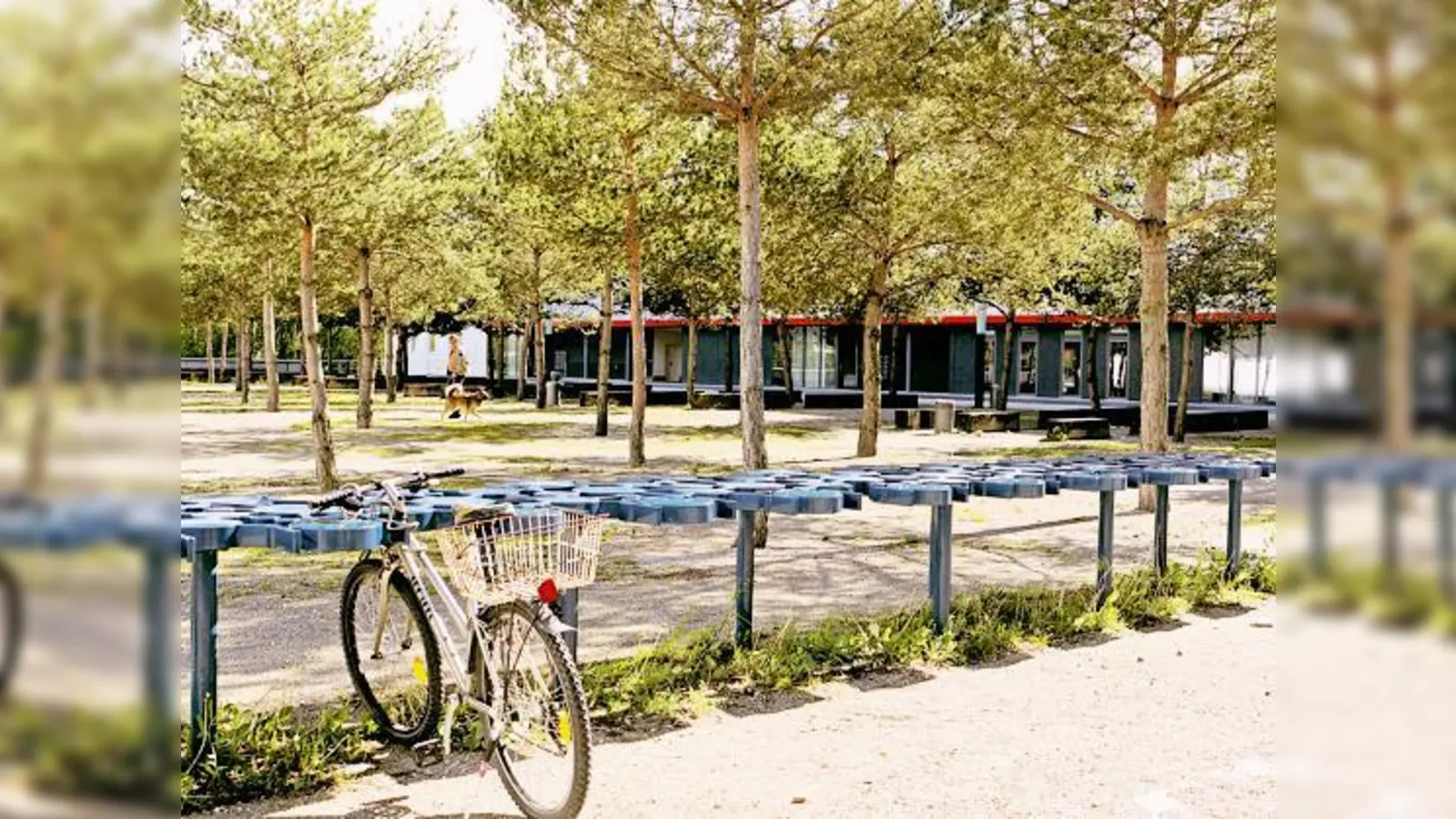 So bitte nicht: Denn das ist eine Tisch-Skulptur und kein Radständer. Manche Riemer aber finden an der »Gebrauchskunst« sogar Gefallen. 	 (Foto: kk)