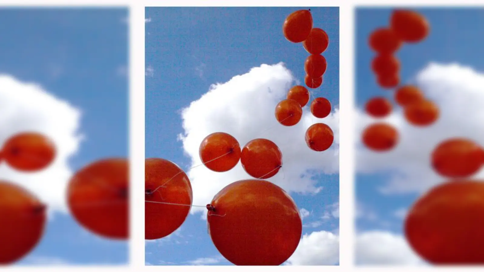 Überall dort, wo Luftballons schweben, wird vom 27. bis 29. März Kunst und Kunsthandwerk präsentiert werden. (Foto: Steigerwald)