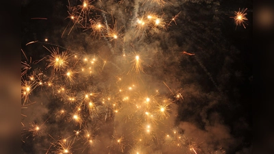 Feuerwerk zu Silvester: Für Menschen ist es schön, für viele Tiere aber bedeutet es Stress pur.  (Foto: Dr. Olaf Broders)