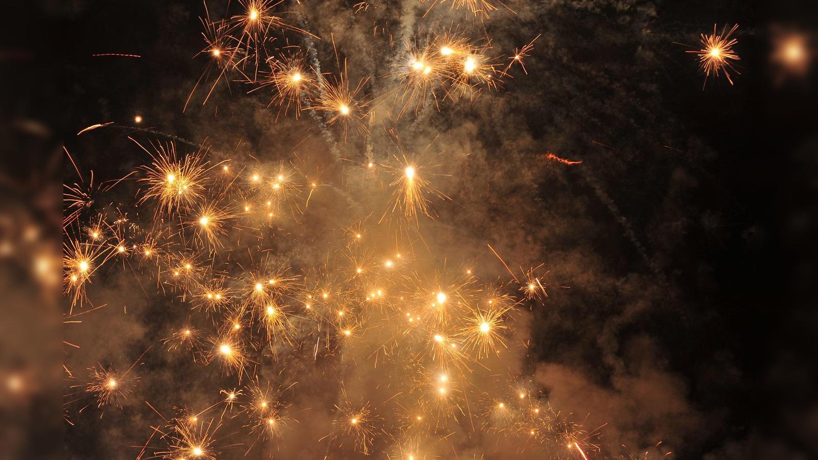 Feuerwerk-stresst-die-Natur-LBV-r-t-zum-Umdenken