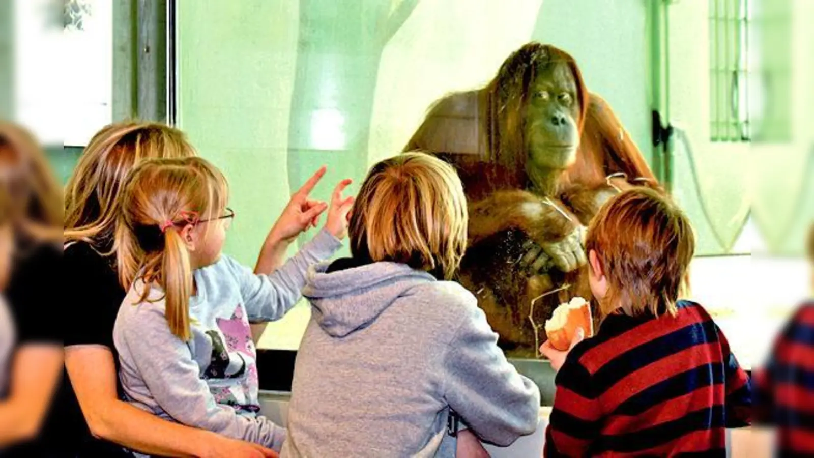 Wer die Natur schützen will, braucht Informationen, darauf setzt man im Tierpark Hellabrunn.	 (Foto: VA)
