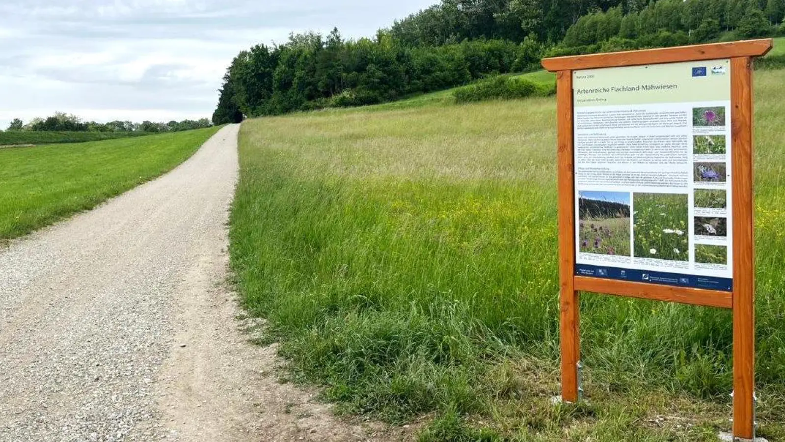 Infotafel an artenreicher Flachland-Mähwiese in der Gemeinde Langenpreising, östlich des Mittlere-Isar-Kanals. (Foto: Regierung von Oberbayern)