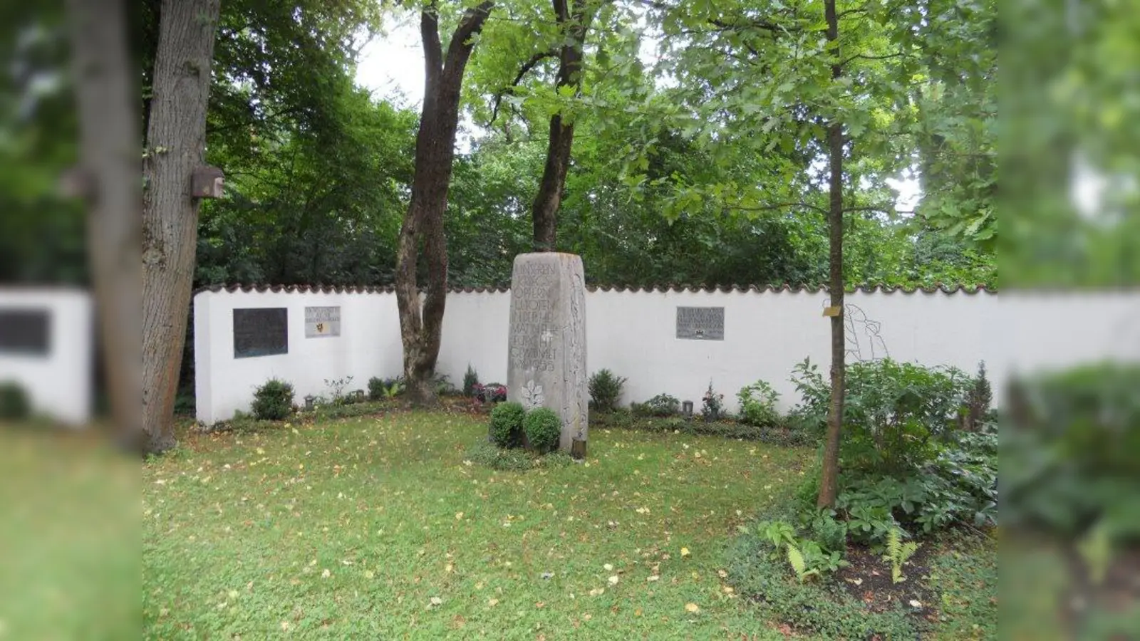 Bild 1 (Foto: Demmel Archiv)