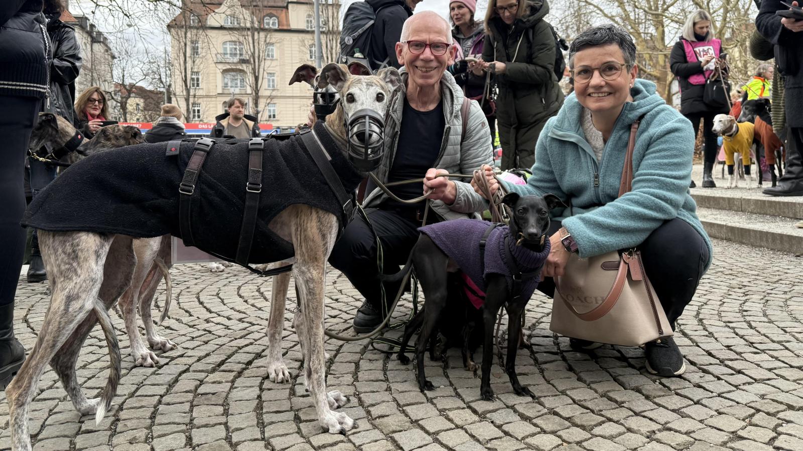Das-Leid-der-spanischen-Jagdhunde