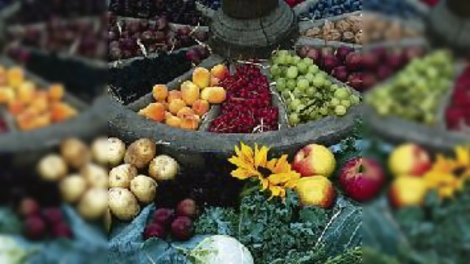 Ein ganzes Rad mit Feldfrüchten  zu sehen auf der Erntedank-Ausstellung.  (Foto: Botanischer Garten)