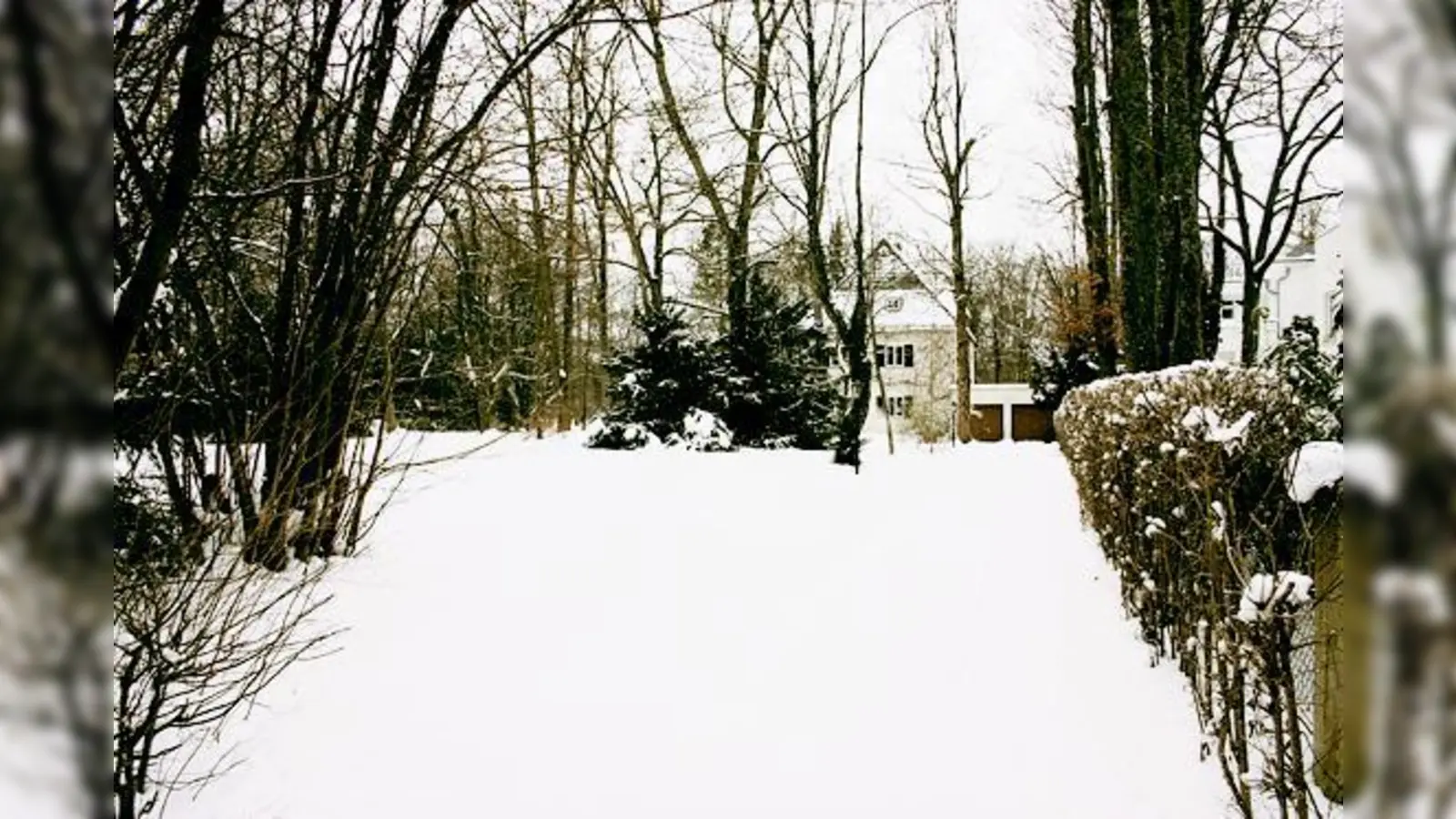 Bezirksausschuss und Stadt streiten sich um die Zukunft des städtischen Grundstücks an der Harthauser Straße 94.  (Foto: Hettich)