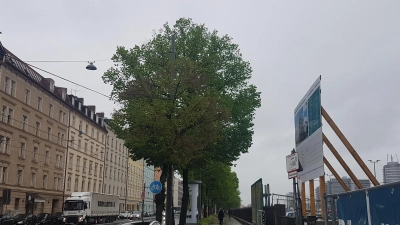 Entlang der Orleansstraße entsteht das Neubaugebiet Orleanshöfe (rechts), das optisch an das Ensemble Franzosenviertel (links) anschließen soll. (Archivbild: bas)