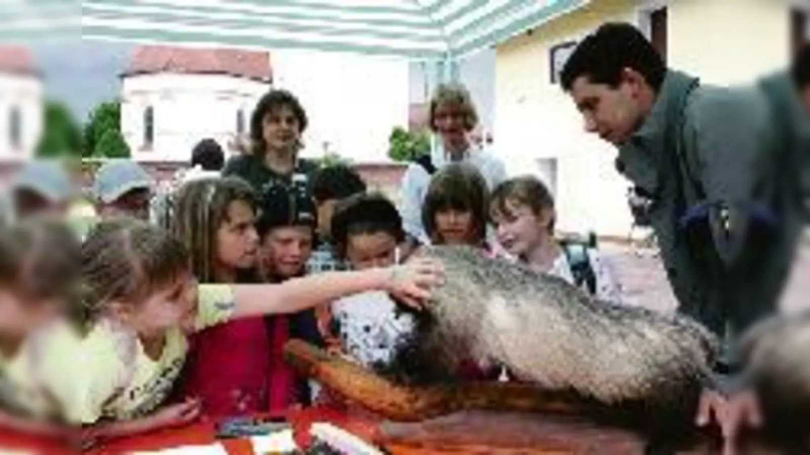Reh, Dachs und Eule: Michael Matuschek von der Bayerischen Forstverwaltung erklärt den Kindern Wissenswertes zur heimischen Flora und  (Fauna.Foto: ko)
