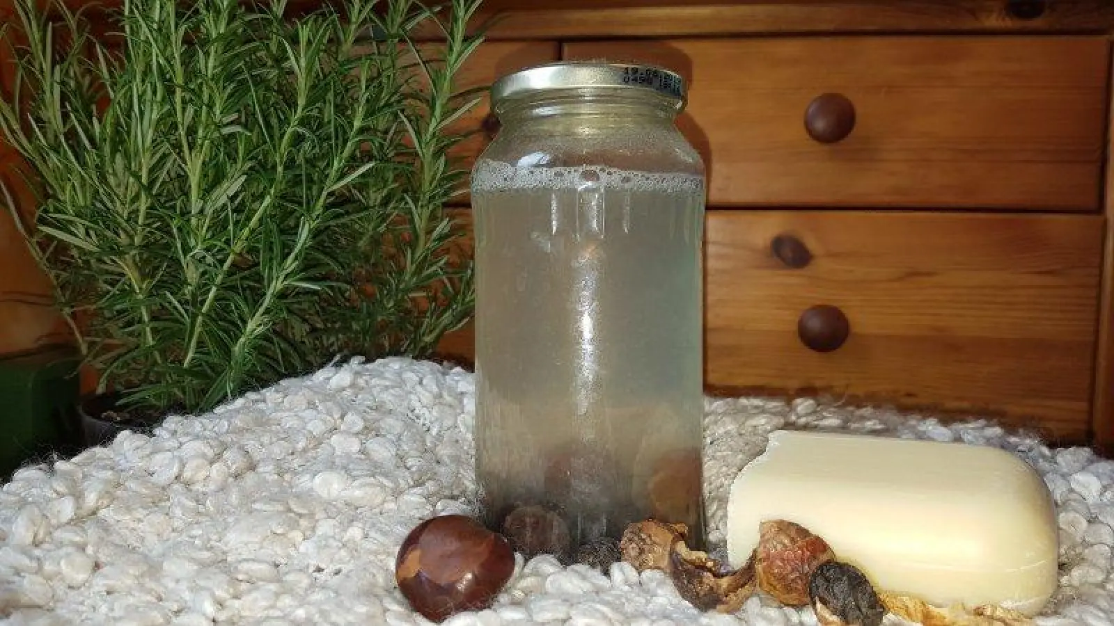 Kastanien einfach hacken und in ein Schraubglas mit Wasser legen bis das Wasser seifenähnliche Eigenschaften aufweist. (Foto: sfl)