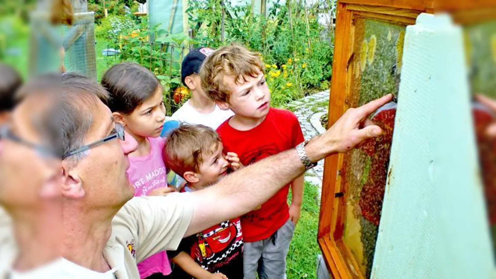 Imker Georg Mitterer zeigte den Kindern, wie die Bienen leben und wie Honig entsteht.	 (Foto: VA)