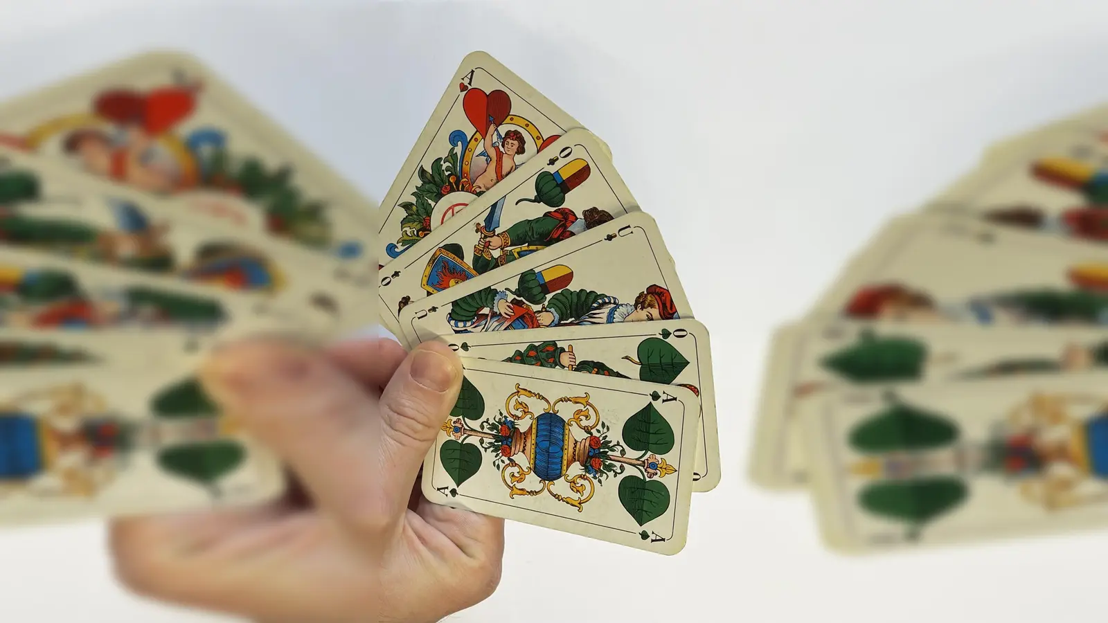 Über ein gutes Blatt freut sich jeder Spieler. (F.: hw)