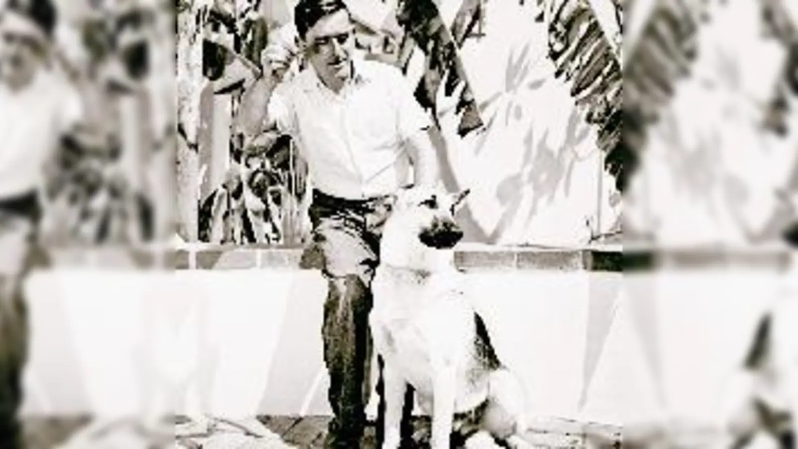 Golo Mann mit Schäferhund »Luchs« in Pacific Palisades«.	 (Foto: Schweizerisches Literaturarchiv)
