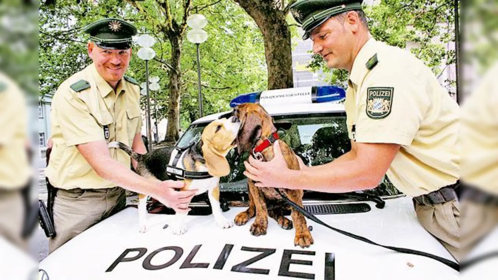 Noch sind sie knuffig, süß und verspielt: Bald sollen der Hannoversche Schweißhund »Buddy« von Herrchen Andreas Stadler (r.) und Andreas Dindorfs Beagledame »Lilly« schnüffelnd für die Polizei auf Verbrecherjagd gehen. 	 (Foto: ko)