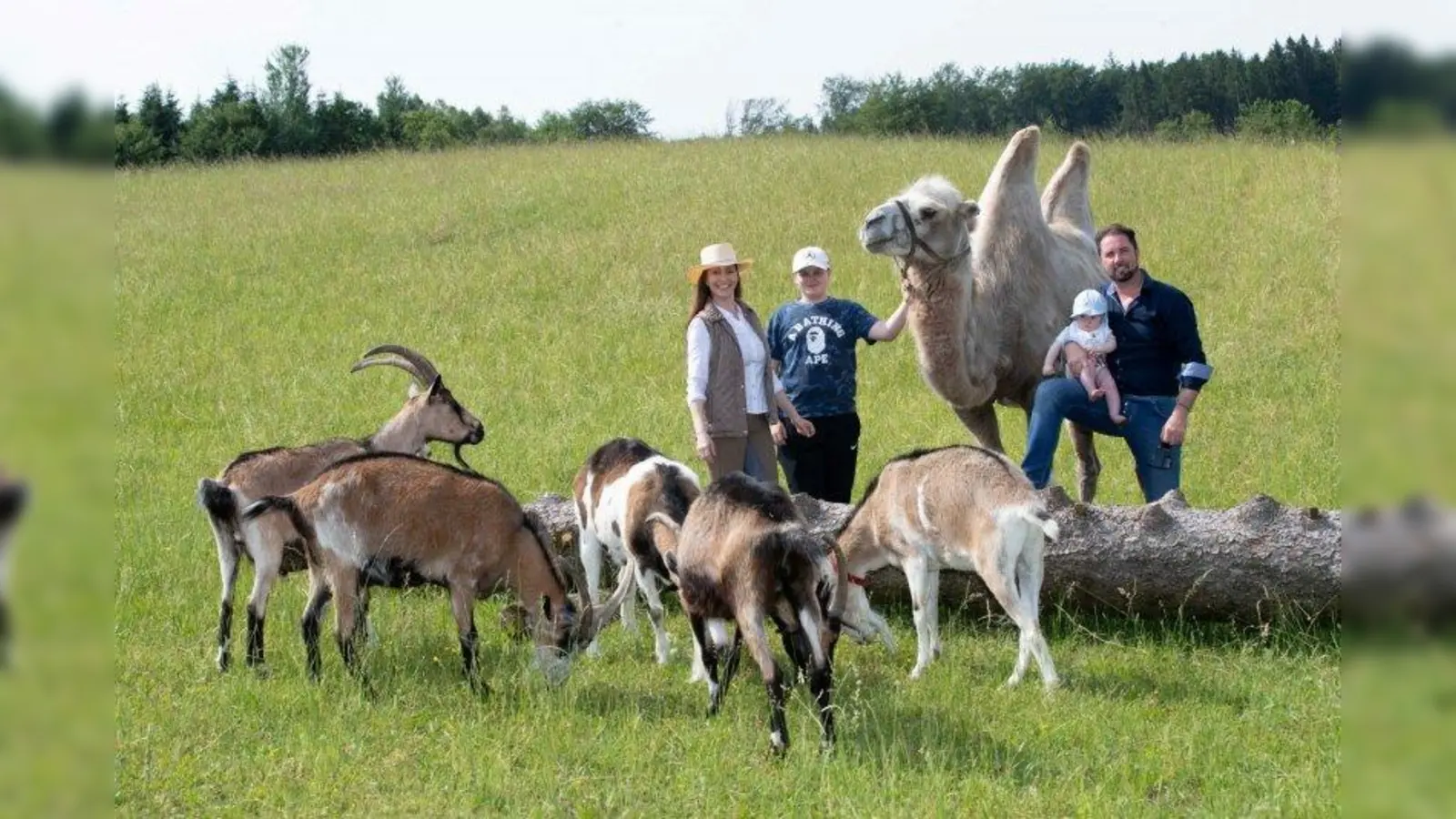 Auf der Circus-Krone-Farm in Weßling. (Foto: Circus Krone)