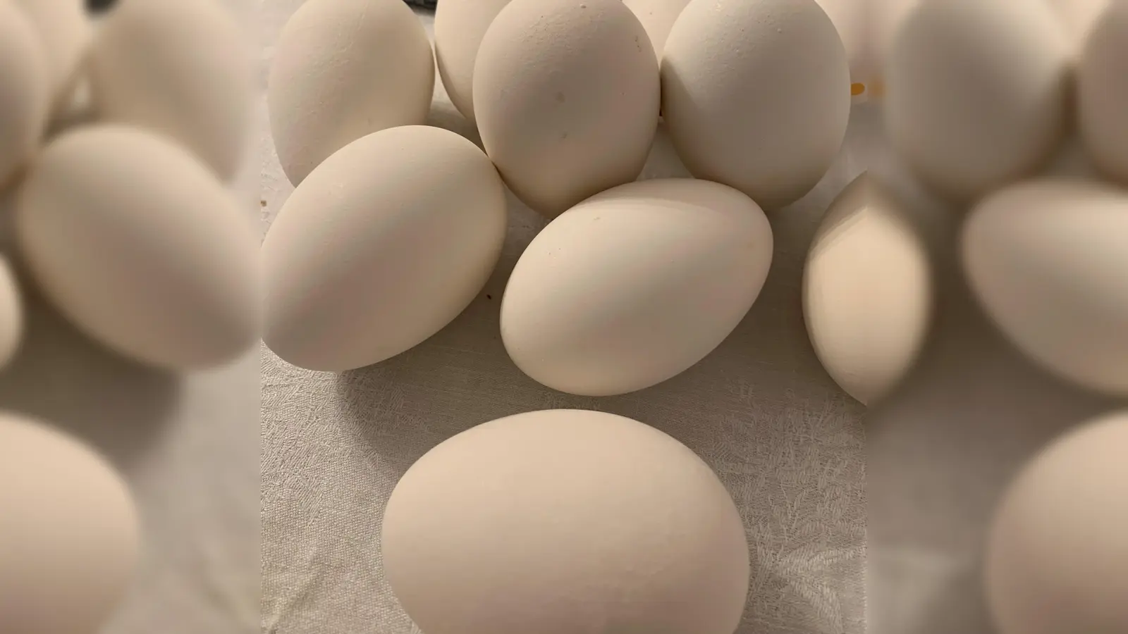 Mit Finelinern und Goldstift können die jungen Museumsbesucher Ostereier gestalten. (Foto: Museum Franz Xaver Stahl)