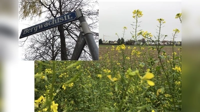 An der Bergwachtstraße befindet sich im Moment stadtauswärts eine Bushaltestelle, an der noch weitest gehend keine Häuser stehen. Das soll sich bald ändern.  (Foto: Daniel Mielcarek)