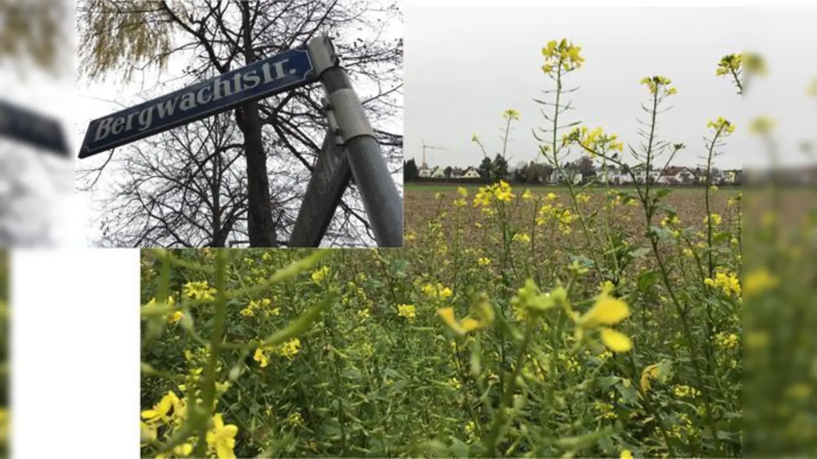 An der Bergwachtstraße befindet sich im Moment stadtauswärts eine Bushaltestelle, an der noch weitest gehend keine Häuser stehen. Das soll sich bald ändern.  (Foto: Daniel Mielcarek)