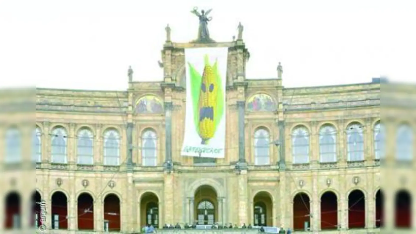 Greenpeace forderte vorige Woche mit einem Riesenbanner am Bayerischen Landtag das Ende des Genmais-Anbaus - mit Erfolg. (Foto: argum/Greenpeace)