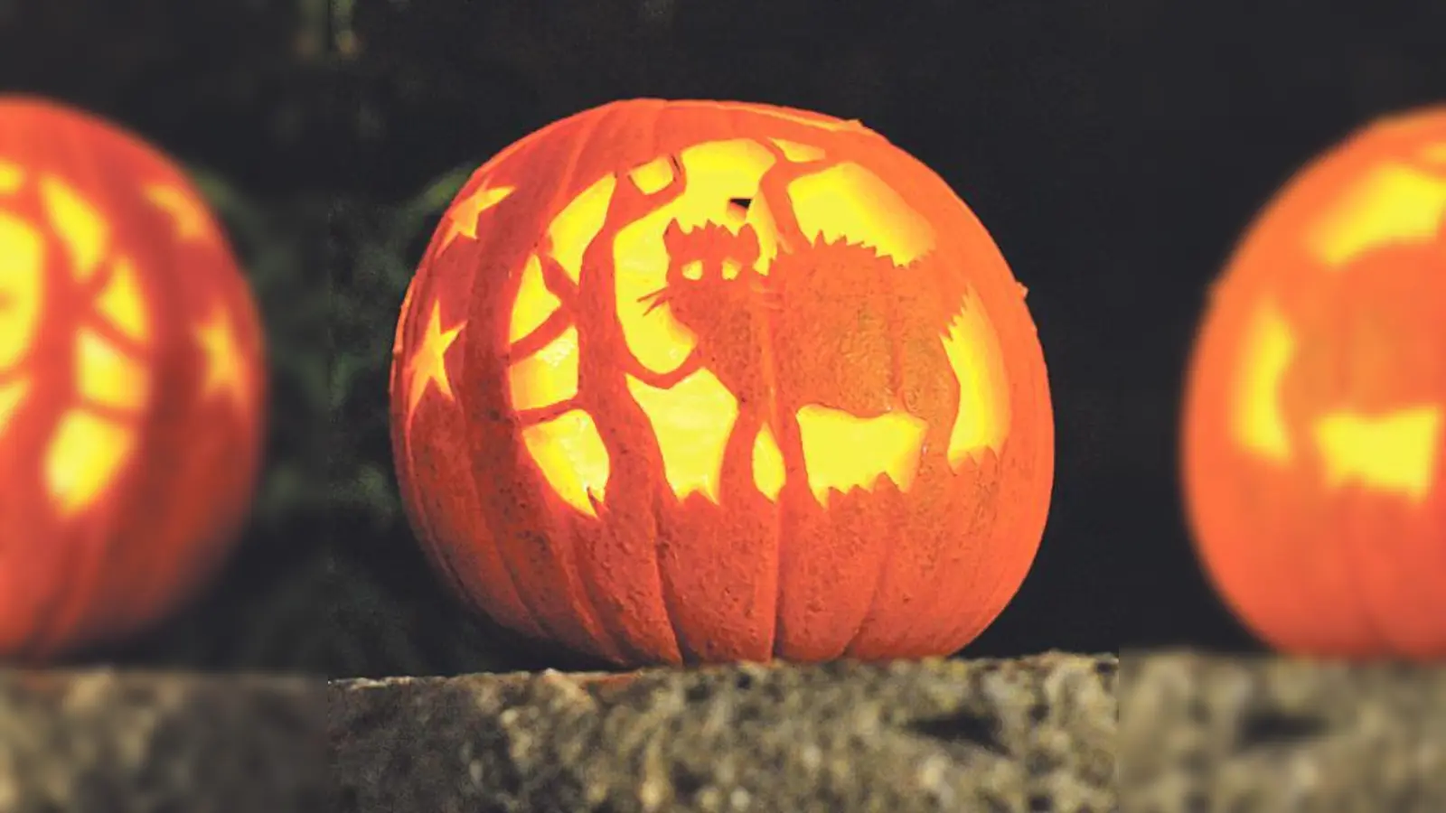 Der Jahreszeit entsprechend weisen beleuchtete Kürbisse den Besuchern den Weg.	 (Foto: VA)