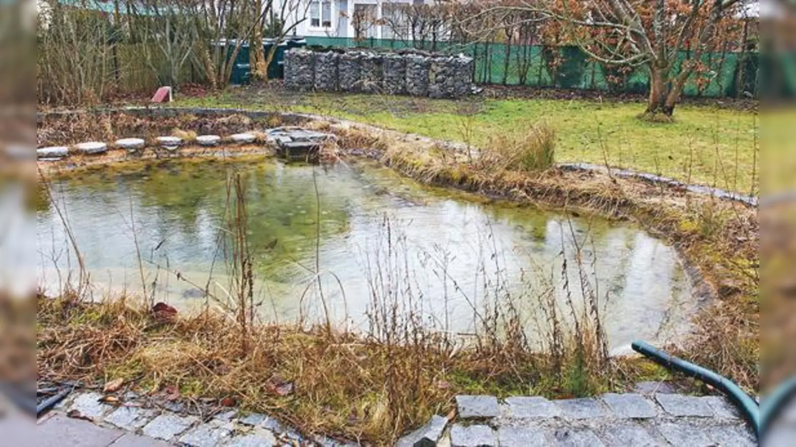 Große Gartenteichanlagen wie diese mit Wasser aus dem öffentlichen Netz am Zähler vorbei zu befüllen, ist Diebstahl. Bei diesem Teich gibt es Entwarnung: Das Wasser in diesem Biotop ist bezahlt. 	 (Foto: kw)
