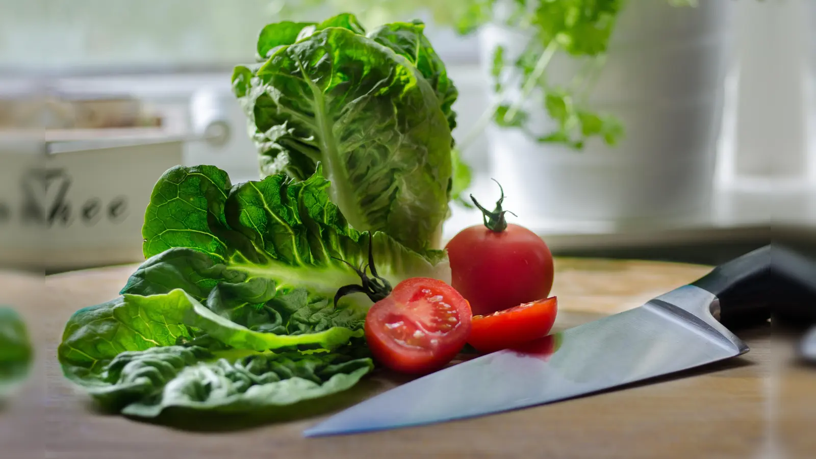 Bei der Aufbewahrung erntefrischer Salate will Einiges beachtetn werden. So kann man ganz einfach die Verschwendung von Lebensmitteln bewirken.  (Foto: CCO)