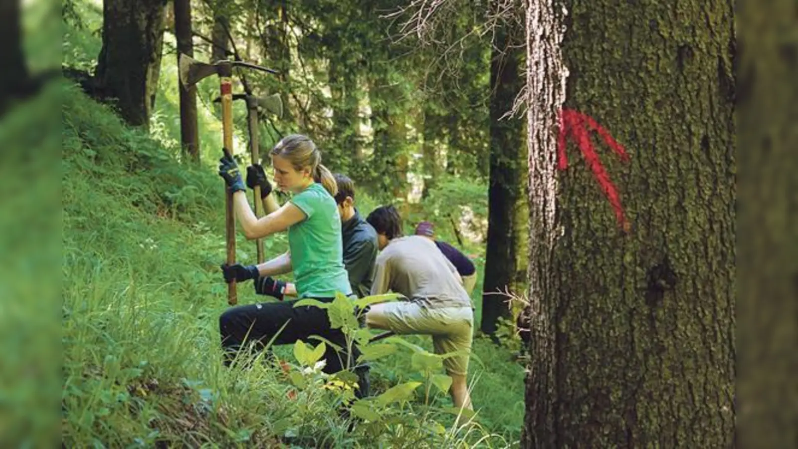 Im letzten Jahr wurden bei der Aktion Schutzwald 6.500  Bäume gepflanzt.	 (Foto: DAV / Arvid Uhlig)