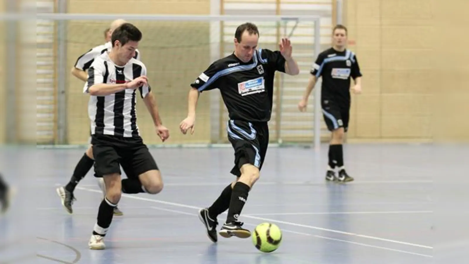 Löwen in der Halle.  (Foto: A. Wild)