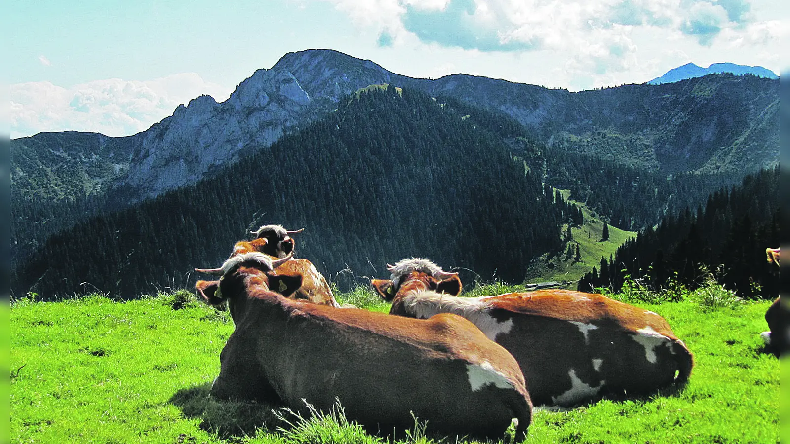 Einen spannenden Einblick in das Wirken und Arbeiten von Bauernhöfen können Schulklassen noch bis zum Ende des Schuljahres bekommen. (Foto: hw)