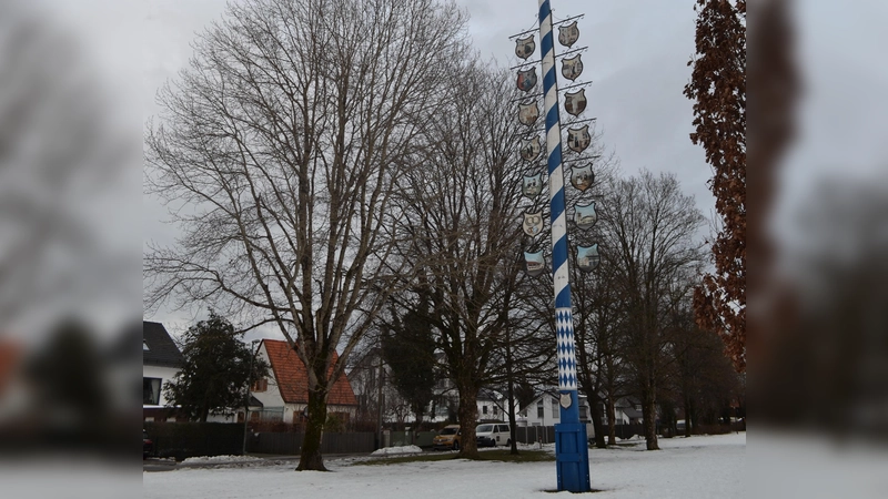 Der alte Maibaum wird am 13. Juli zum Sturz gebracht. (Foto: ar)
