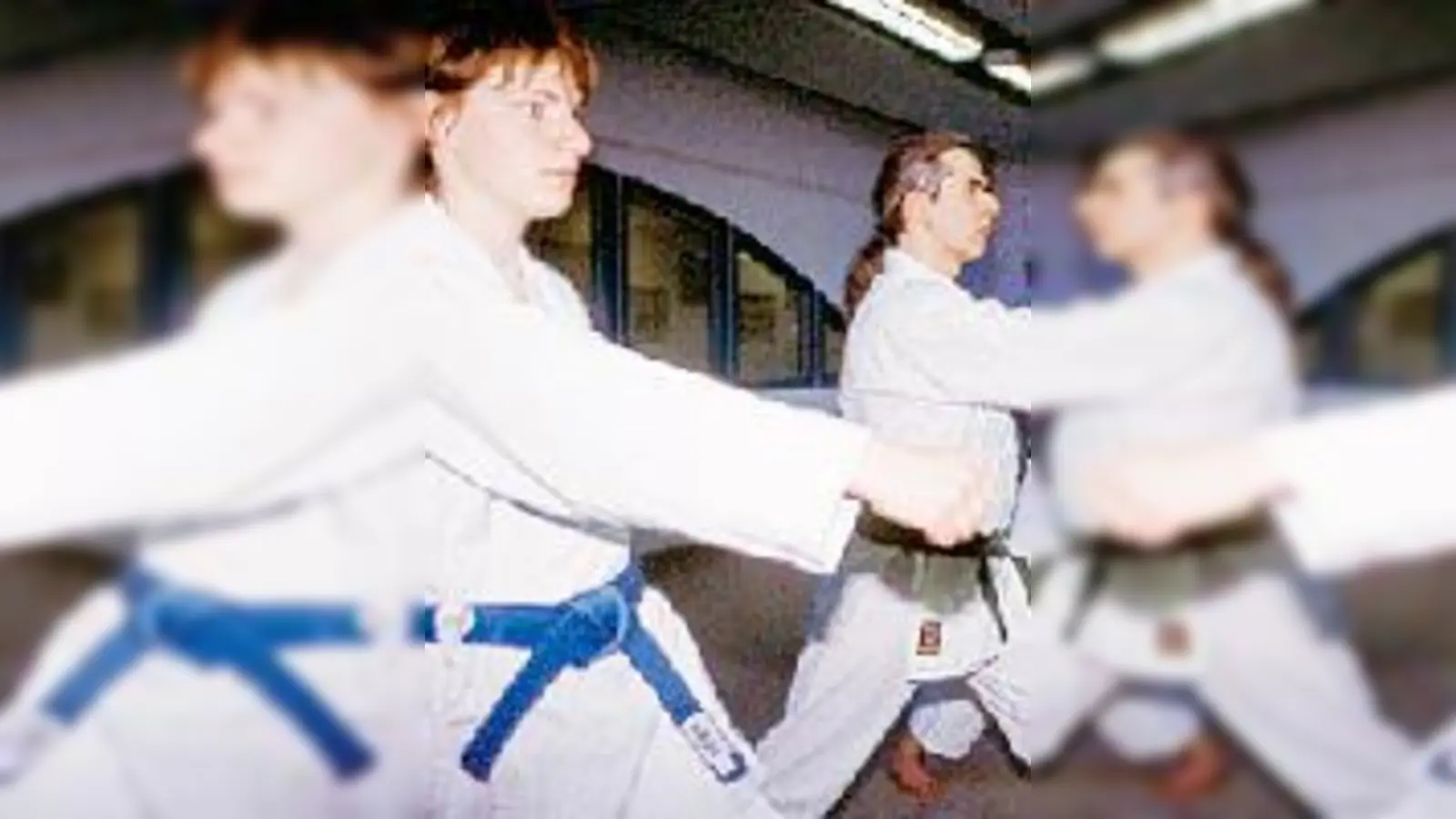 Eine Selbstverteidigungsvorführung der Okinawa-Karate-Dojas. 	 (Foto: VA)