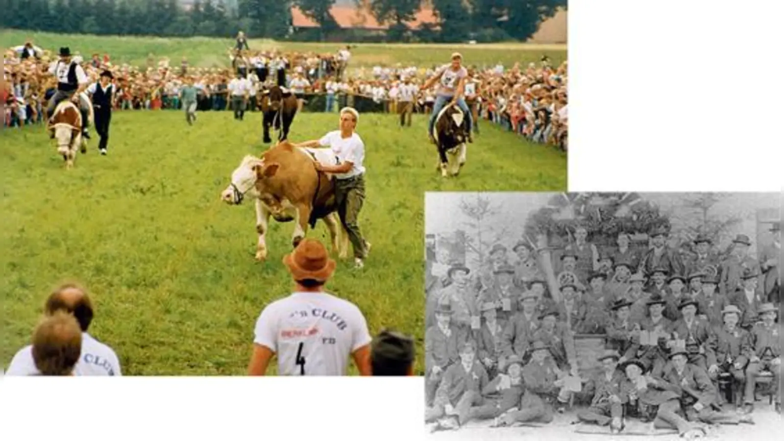 Auch vor 25 Jahren gab es bereits ein Ochsenrennen zum Burschenjubiläum. Heuer treten die Rindviecher gegen Kamele an, spannend, wer hier wohl gewinnt. Foto rechts: Aus den Gründungstagen des Burschenvereins »Fröhlich frisch auf«.  (Foto: Burschenverein/VA)