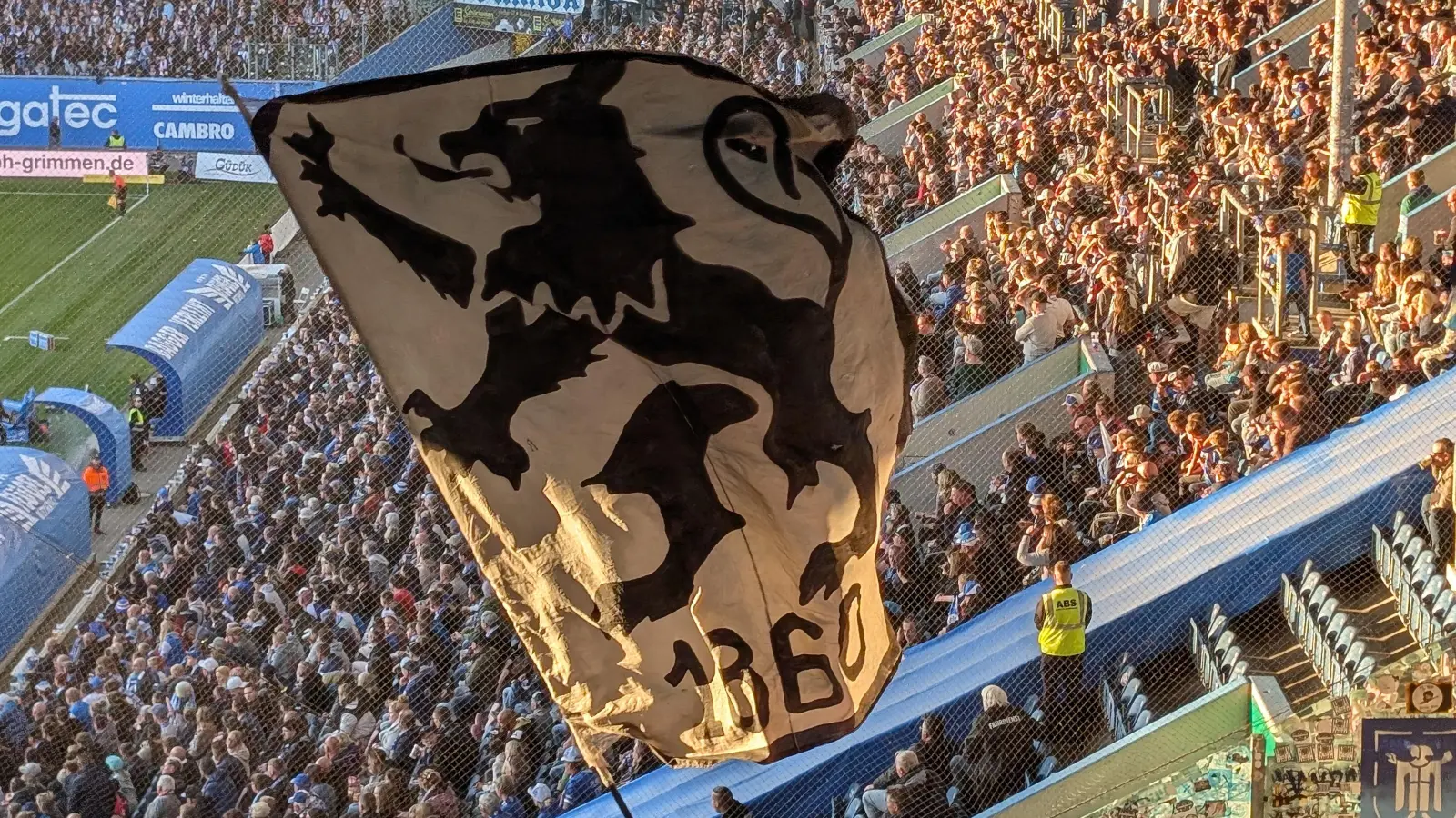 Glücklos: Löwen an der Ostsee. (Foto: M. Forster)