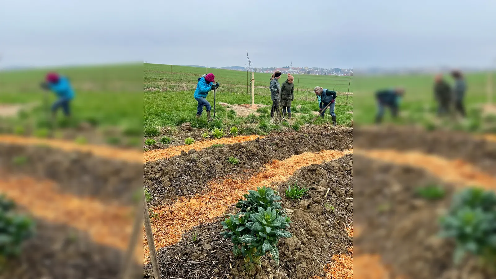 Auf dem ehemaligen Bio-Acker wird bereits kräftig gesät und gepflanzt.  (Foto: OVV Altomünster)