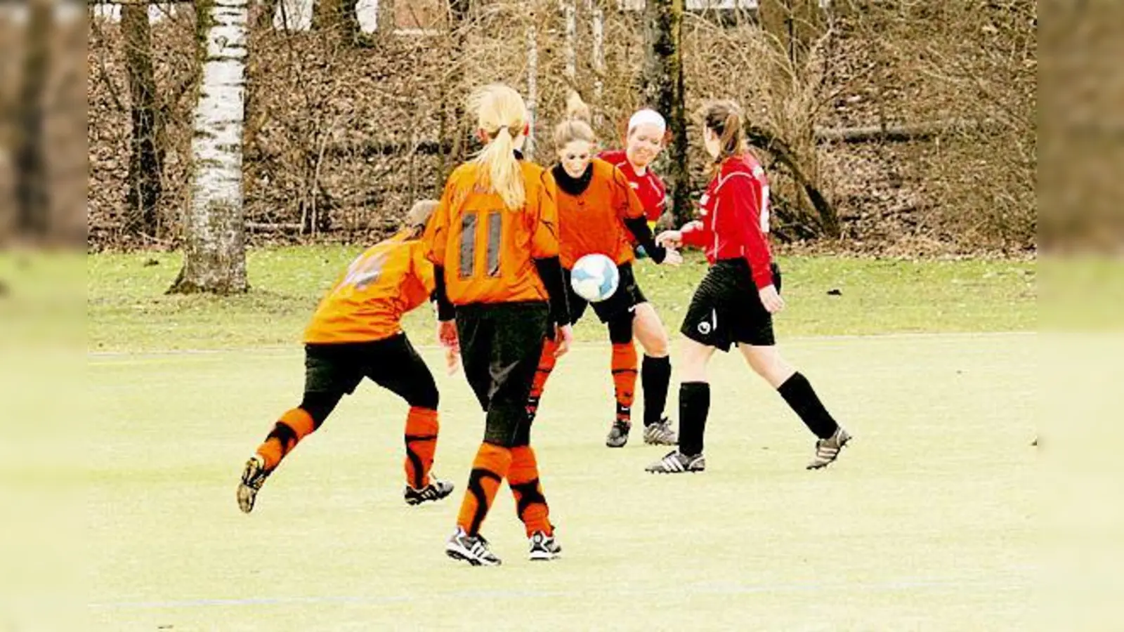 Moosach · Mit Kampfgeist zum Sieg (Foto: red)