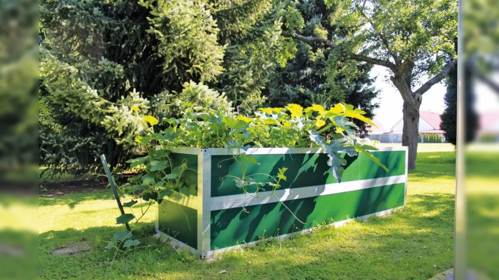Gemüse und Kräuter aus dem eigenen Anbau bringen wieder Geschmack in die Speisenfolge. Hochbeete garantieren eine reiche Ernte. (Foto: epr/WAMA)