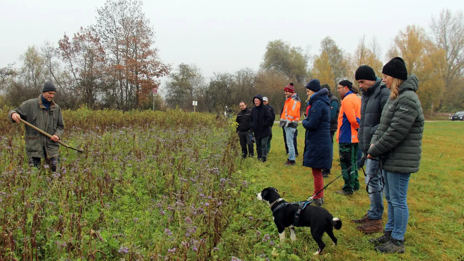 Im Rahmen ihrer Kooperation für sauberes Trinkwasser führten die Freisinger Stadtwerke eine Feldbegehung mit den beteiligten Landwirten durch.  (Foto: Stadtwerke Fresing)