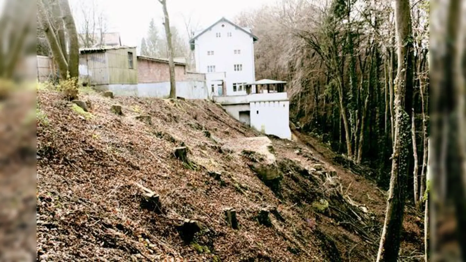 Zum zweiten Mal wurden zahlreiche Bäume auf dem Grundstück des ehemaligen »Lindenwirts« gefällt, zum Entsetzen der Gemeinde.  (Foto: hol)