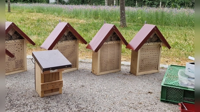 Neu auf der Streuobstwiese Geisenbrunn: Insektenhotels und Vogelhäuser. (Foto: Christine Eicher)