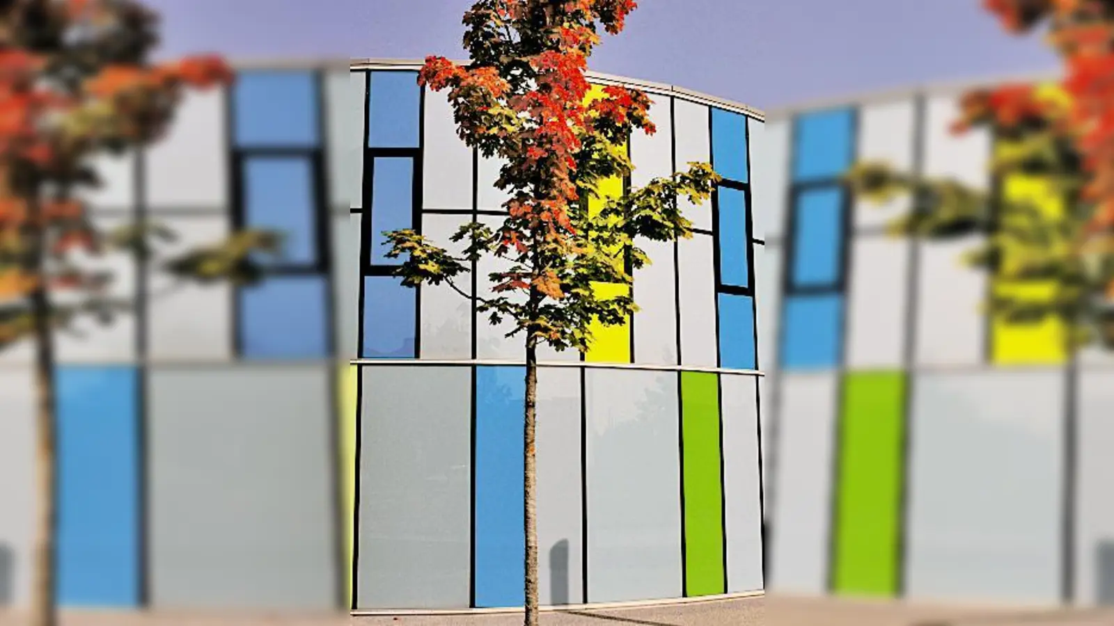 »Flowers« aus Moosach, gefunden von Jörg Spettstoeßer.	 (Foto: VA)