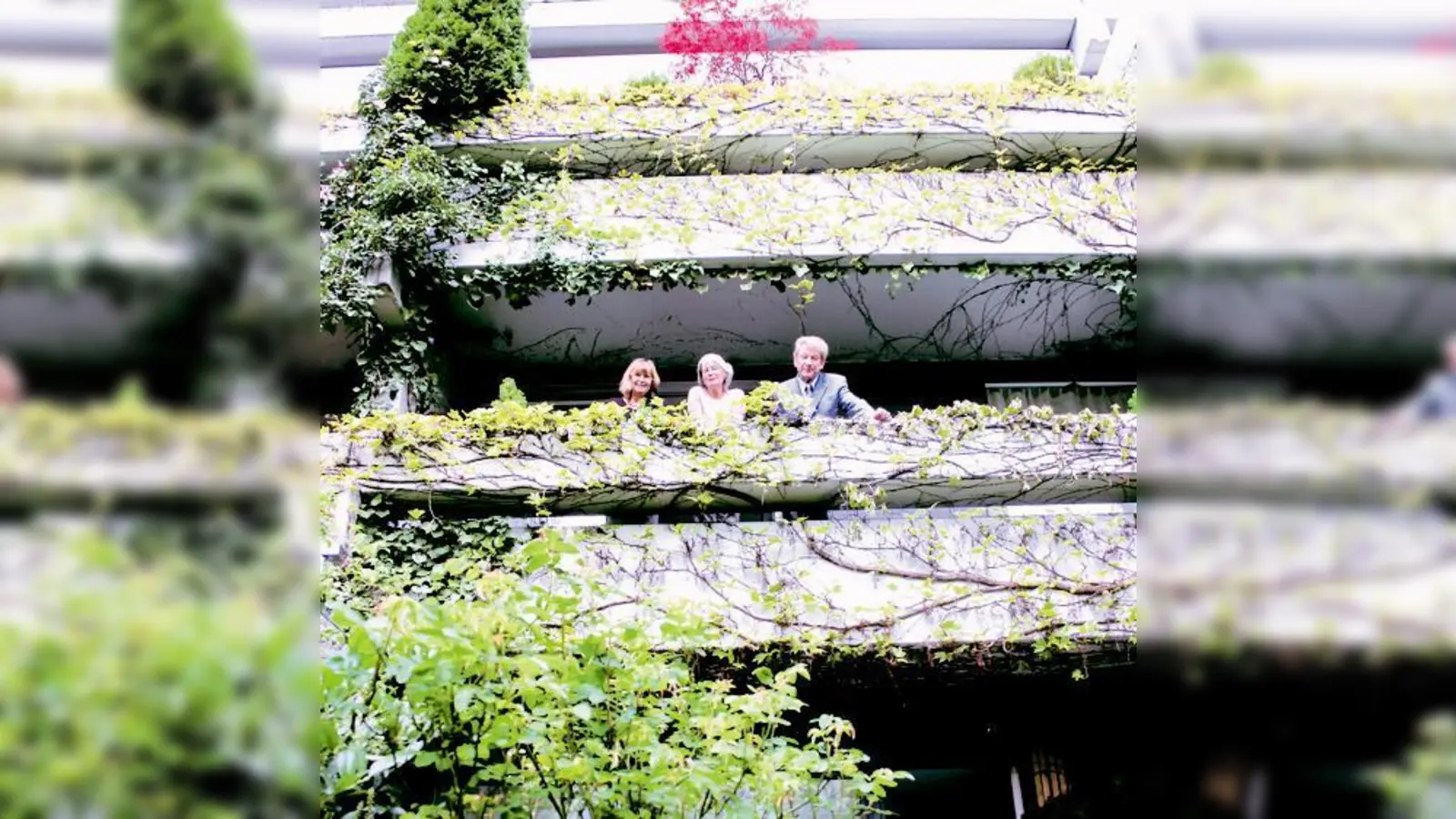 Brigitte Janietz, Ulla Goergens und Dr. Christian Steinmann (v. li.) wehren sich gegen den »Kahlschlag«: Sie wollen die Rankpflanzen an ihren Wohnungen retten  auch wegen der dort nistenden Vögel.              (Fotos: ak)