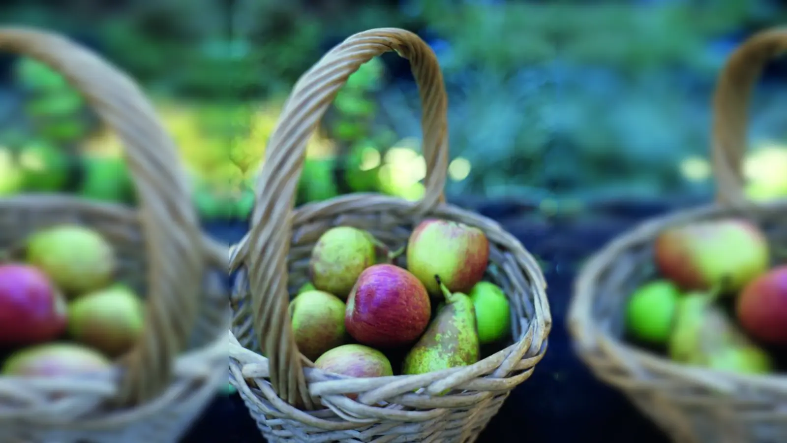 „An Apple a day keeps the doctor away!”: Äpfel regulieren die Verdauung, senken den Cholesterinspiegel - und schmecken! (Foto: photos.com)