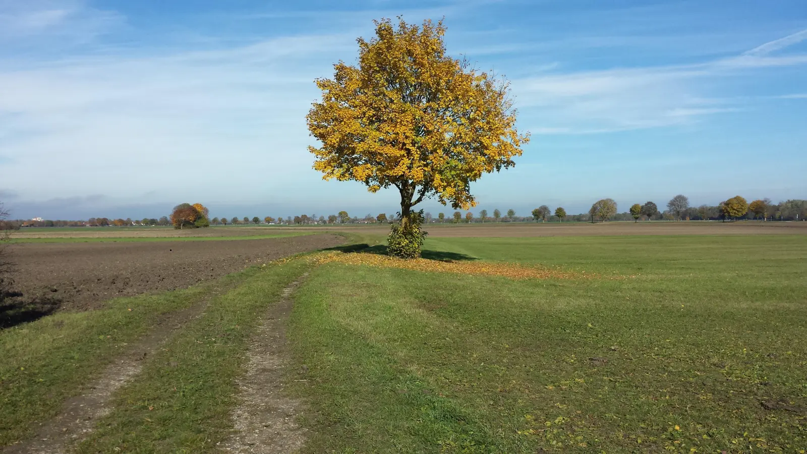 Eine laubreiche Angelegenheit: So langsam herbstelt es im Freistaat Bayern.  (Foto: Stefan Dohl)