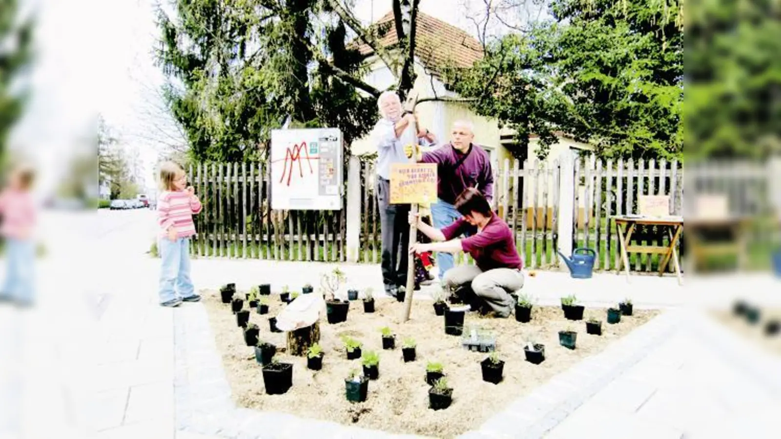 Helmut Dworzak hämmerte  assistiert von Haars Umweltreferent Michael von Ferrari und Barbara Stark  eine Erklärungstafel ins Erdreich.	 (Foto: ikb)