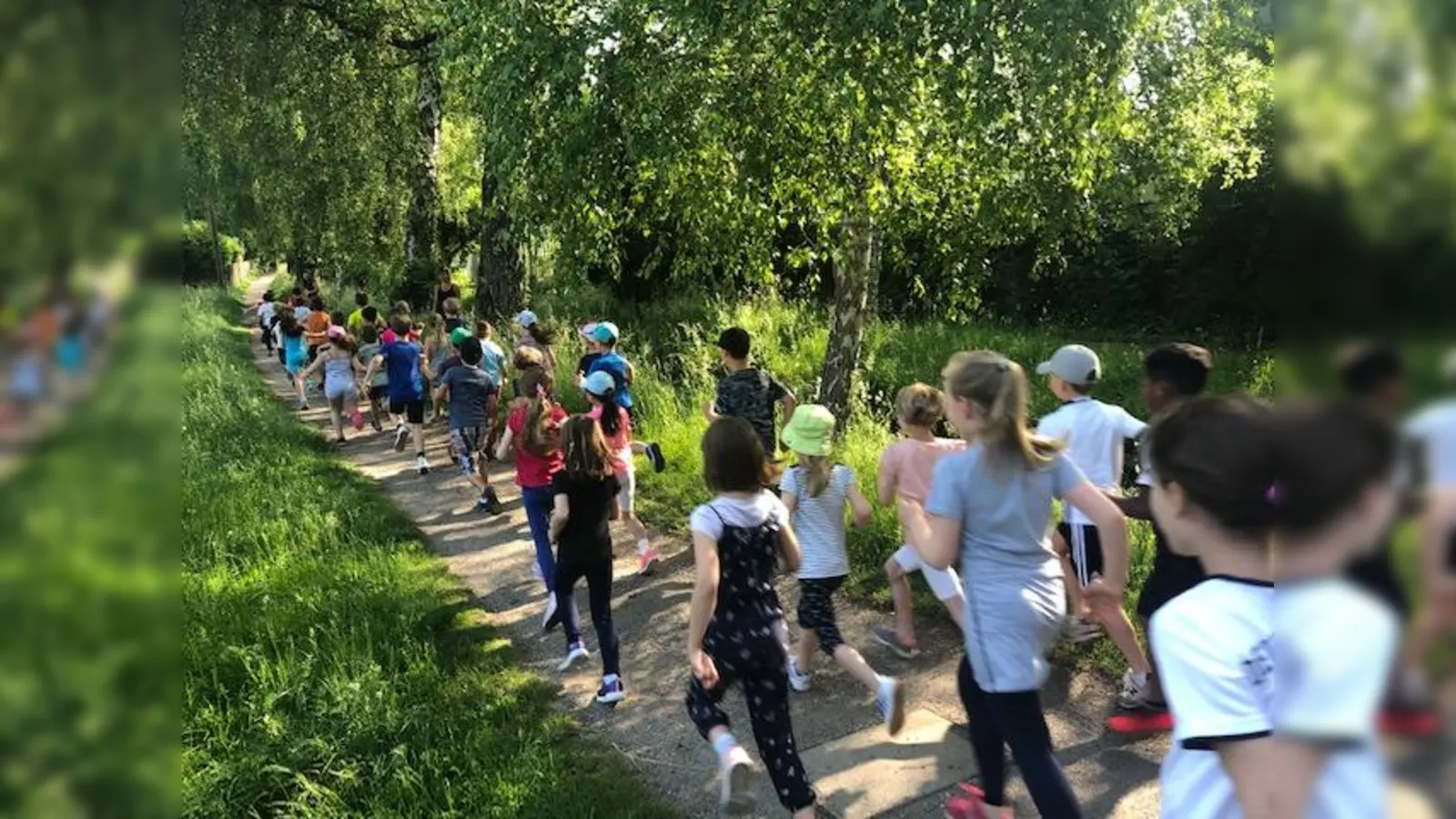 Foto: Nicole Söldenwagner